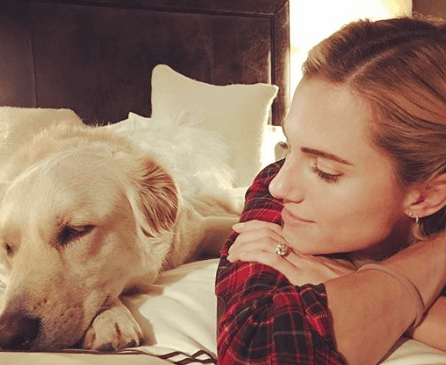 Pet Lover